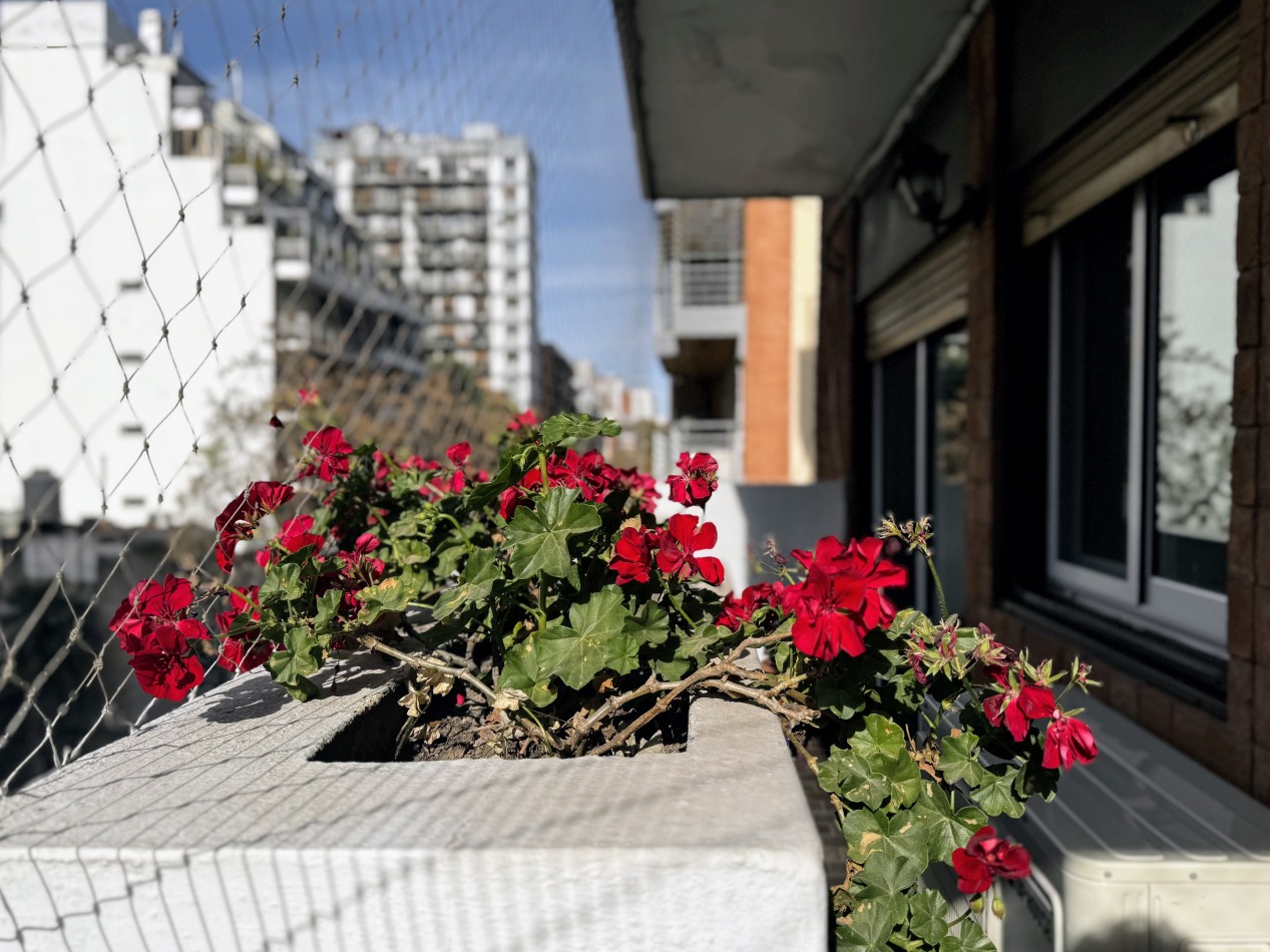 Departamento 4 ambientes en pleno Belgrano